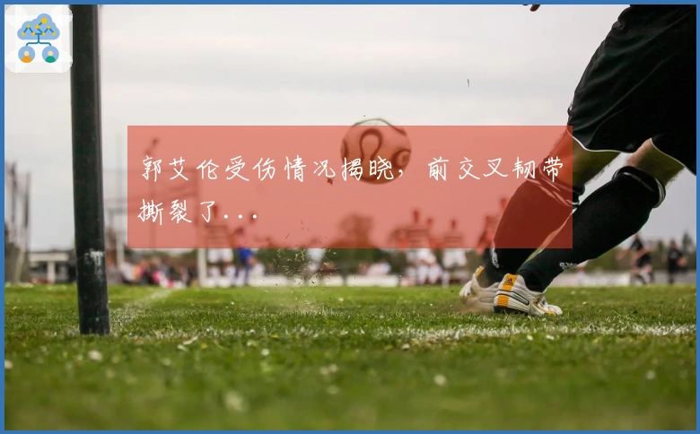 郭艾伦受伤情况揭晓，前交叉韧带撕裂了...